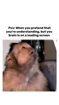 Funny meme video