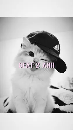 Beat 2 ảnh 