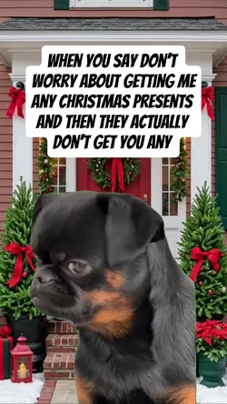 sad dog meme