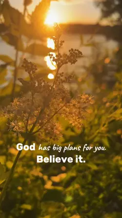 Happy Sunday