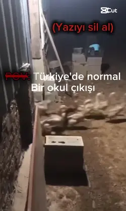 TürkiyedeOkulÇıkşı:D