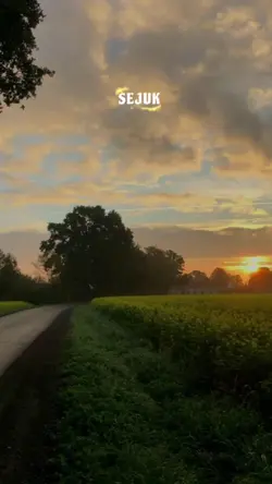 Di Malam Yang Sunyi