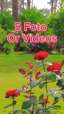 5 Foto Slide