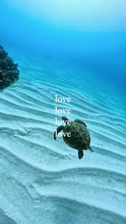 sea vibes