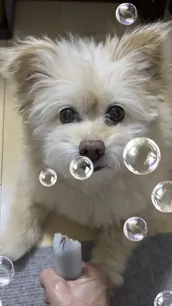 １つの動画で🥰🥰🥰