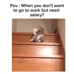 need salary