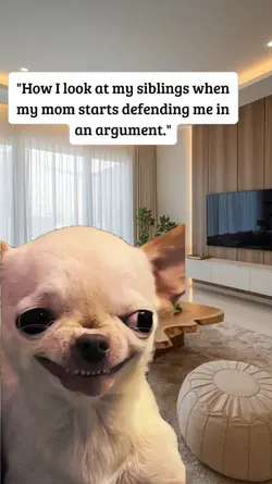 evil smile chihuahua
