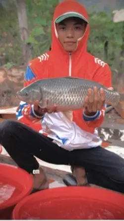 Mẫu câu cá 1 ảnh 🐠