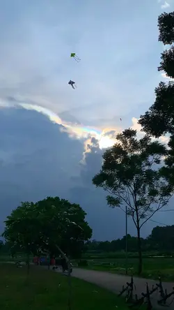 Quê Tôi Có Cánh Diều