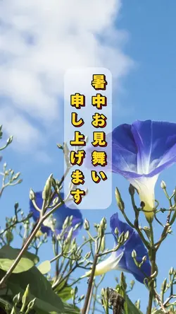暑中お見舞い