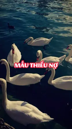 2 ảnh 