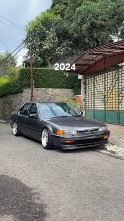2024-2026