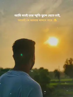 আমি পারিনি তোমাকে 