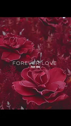 Wedding Teaser