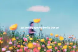 Ngày trời bao la