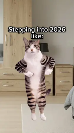 Dancing Cat 😎