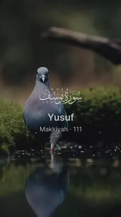 Surah Yusuf