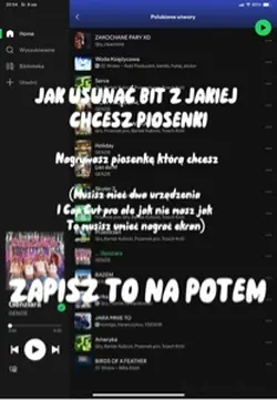 Piosenka bez bitu 