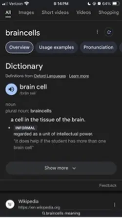 final brain cell