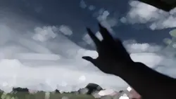transition film