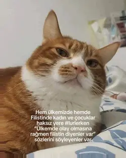 Söyleyenler var…