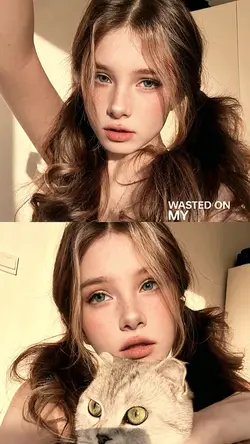 collage 