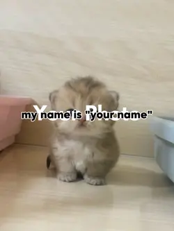 my name is