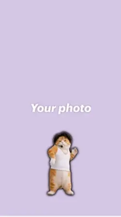Cat dance