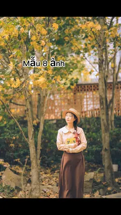 Mẫu 8 ảnh