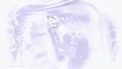 심쿵밈୨୧