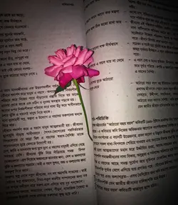 ফুলের ভিডিও 