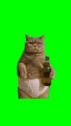 Funny Cat Meme