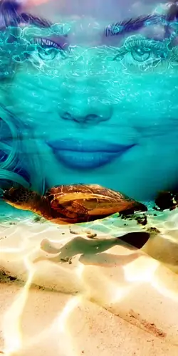 femme tortue 