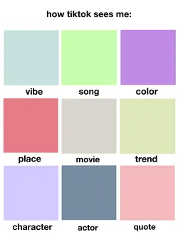 How tiktok sees me 