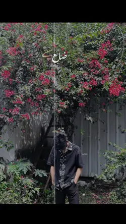 sajda