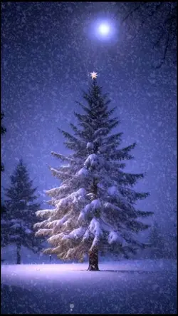 Oh Holy Night
