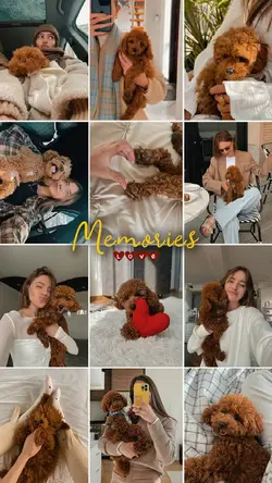 Pet Moments