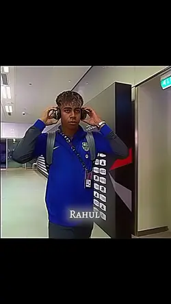Yamalxpalmer 