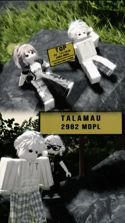 Roblox Couple HD