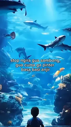 fto live kta kata
