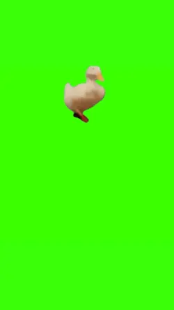 running duck meme