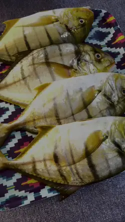 Fish..