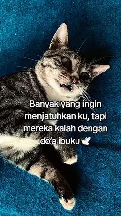 jj tipis kecce
