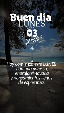 Lunes 03/08 status 