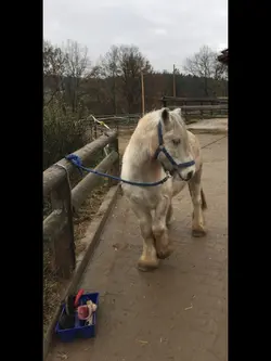 Früher vs. Heute❤️‍🩹
