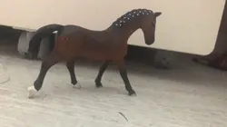 ⚠️fake horse⚠️