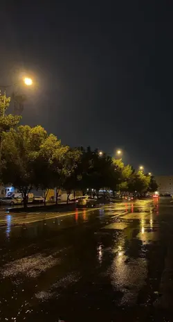Yeni Şablon