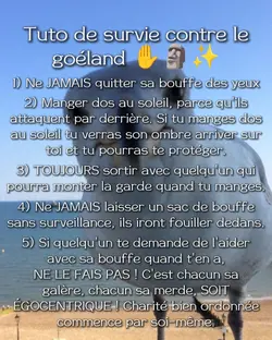 tuto de survie