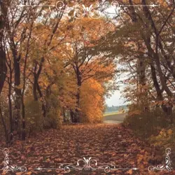 Fall~autumn edit🍁🍂