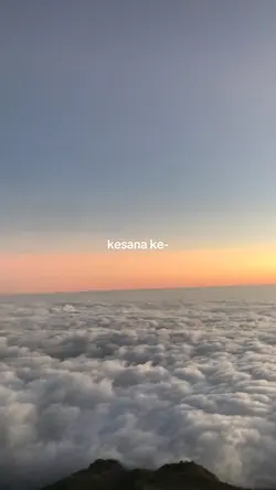 kesana kemarii